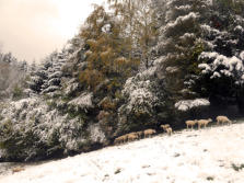 Schnee im Oktober